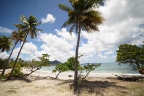 Félix, T2 accès plage Gros-Raisins Sainte-Luce